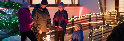 Japanese events venues location festivals 2024-2025: 9th Annual Winter Light Festival Experience (Garden into 4 Sections: Spring, Summer, Autumn & Winter) Nikka Yuko Japanese Garden (Video)