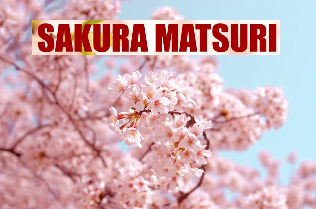 2024 Annual Sacramento Sakura Matsuri (Japanese Cultural Festival that Celebrates Arrival of Spring and the Blooming of the Cherry Blossom Trees) | Japanese-City.com