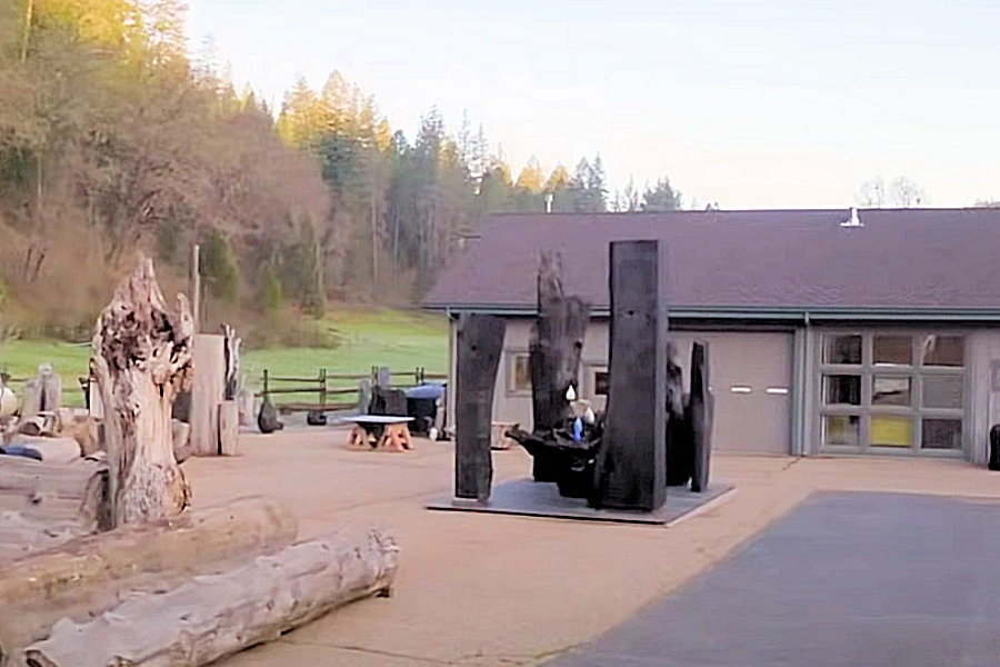 2025 Mineo Mizuno: Homage to Nature - Celebrates the Beauty of Wood in its Natural State & Emphasizes Reusable & Renewable Resource (Video) | Japanese-City.com