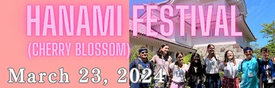 Japanese events venues location festivals 2024 Annual Hanami Festival - 'Cherry Blossom Festival' 