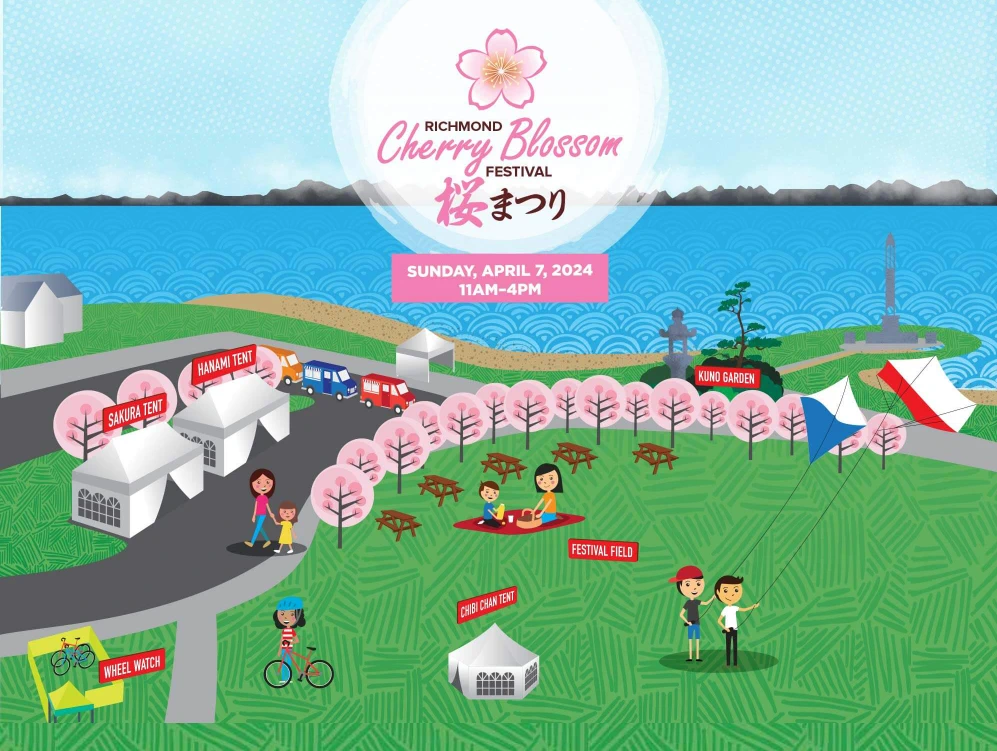 2024 Richmond Cherry Blossom Festival at Garry Point Park (255 Akebono Cherry Trees) [VIDEO]
