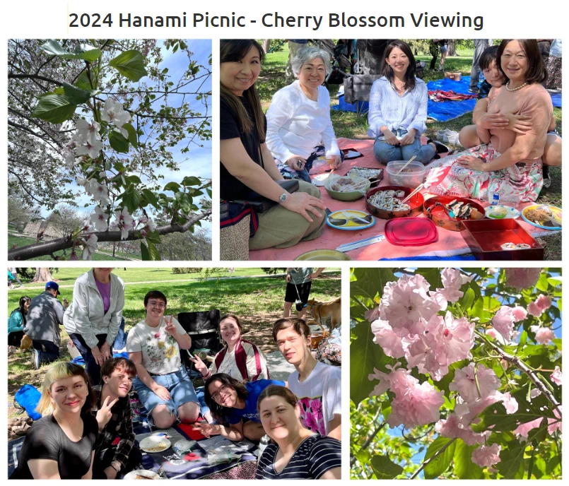 2024 Hanami Picnic - Cherry Blossom Viewing, Loose Park (Pack Your Favorite Blanket and Picnic Basket..) | Japanese-City.com