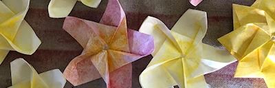 Japanese events venues location festivals 2024 Fold An Origami Plumeria With Shannon Nakaya (Tutorial for Making an Origami Plumeria Flower)