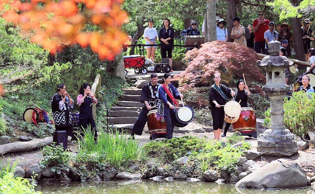 2024 (Sold Out) Obon (お盆) / 2nd Japanese Bon Festival at Cranbrook #MIBON2024 (Bon Odori, Taiko, Music, Sushi, Tours..) | Japanese-City.com