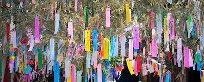 2025 Celebrate Tanabata at Ashland Japanese Garden (Hang Colorful Papers-Wishes are Written & Placed onto Bamboo Branches)