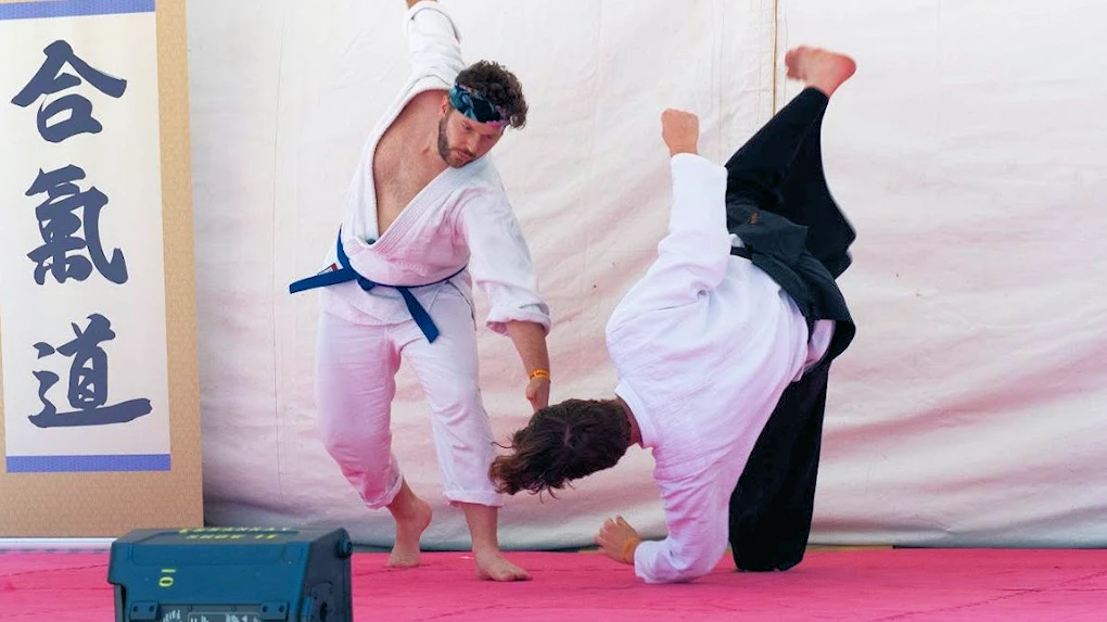 2025 Japan Festival Chicago: Celebrate 40 Years of Japanese Cultural Exchange (Japanese Food, Taiko, Koto Music, Kimono Fashion..) | Japanese-City.com