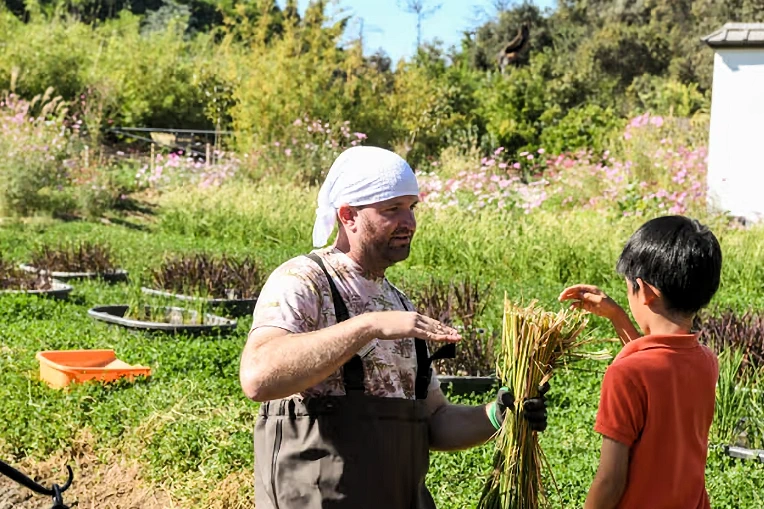 2025 Shoya House Rice Harvest (Learn How Rice is Grown, Bundled, and Harvested in a Traditional Japanese Setting) | Japanese-City.com