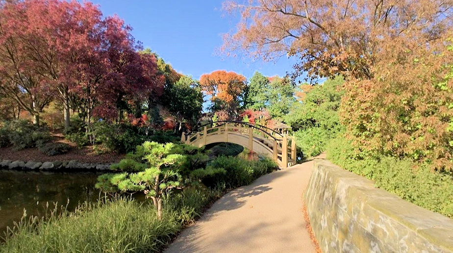 2025 Japanese Garden Tour: October (Learning About the Garden’s Thoughtful Design Elements, Cultural Significance, & Rich History)