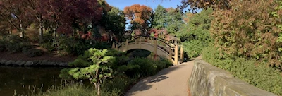 2025 Japanese Garden Tour: October (Learning About the Garden’s Thoughtful Design Elements, Cultural Significance, & Rich History)
