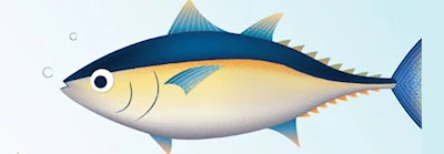 Tuna Cutting Show (Watch a Master Chef Break Down a Whole Tuna Live - Fresh Cuts Available After the Show)