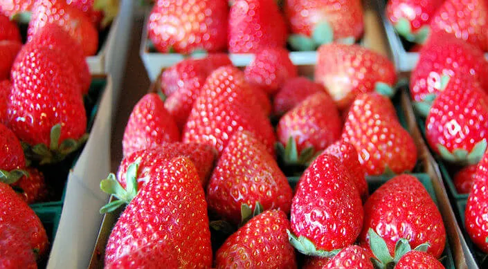 2017 Tanaka Farms Strawberry Tours are now Open! (Includes a Wagon Ride to the Berry Patch, Eating Berries & a 1 lb Basket to Fill)