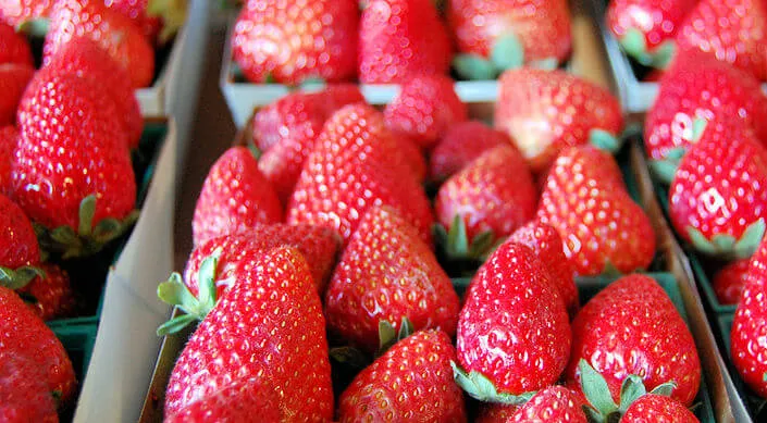 2017 Tanaka Farms Strawberry Tours are now Open! (Includes a Wagon Ride to the Berry Patch, Eating Berries & a 1 lb Basket to Fill) | Japanese-City.com