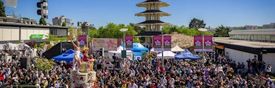 Japanese events festivals 2025: 58th Northern California Cherry Blossom Festival Event - Featuring Japanese Culture, Food Booths, Games, Performers.. (2 Weekends)