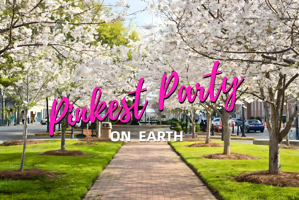 2024 - 42nd Annual Cherry Blossom Festival Event (March 15 - 24, 2024 for 10 Days) 350,000+ Yoshino Cherry Trees in Macon, Georgia