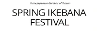 Japanese events festivals 2024 Annual Spring Ikebana Festival Event - Yume 11th Anniversary Celebration Special Edition (Feb 22 - Mar 3, 2024)