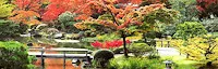 2022 Maple Festival - Seattle Japanese Garden (October 6 - October 16, 2022) Origami, Taiko Live, Kendo, Scavenger Hunt..