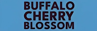 Japanese events festivals 2024 - 11th Annual Buffalo Cherry Blossom Festival Event, Buffalo’s Japanese Garden in Delaware Park (Food, Performers, Tea Ceremony, Activities..)