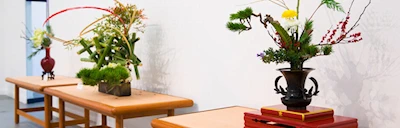 Japanese events festivals 2025: 8th Annual Cultural Ikebana Exhibition (Exquisite Shōgatsu Flower Arrangements will be Showcased) JACCC (2 Days)