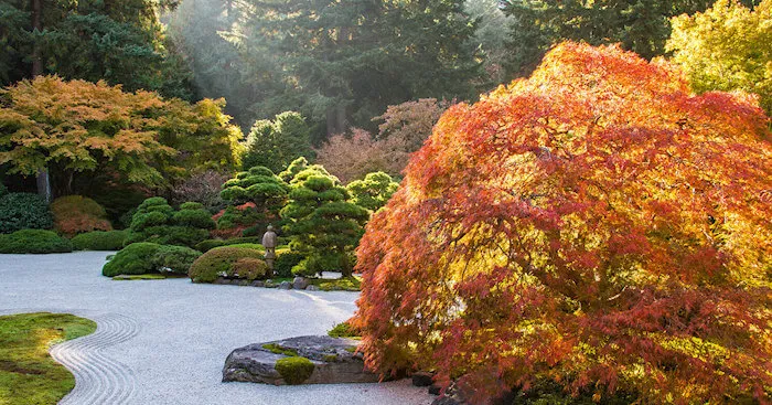 Watch the Garden Transform with the Season Autumn Splendor - Portland Japanese Garden