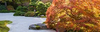 2023 Watch the Garden Transform with the Season Autumn Splendor - Portland Japanese Garden (Video)