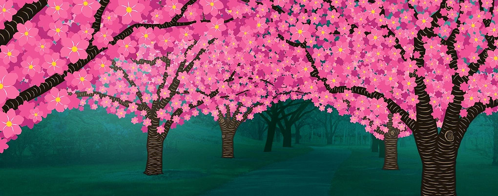 2025 Hanami Nights: Stroll Japanese Garden Event (Live Performances, Bar: Sake & Japanese Beer, Japanese Snacks, Bonsai..) 4 Days | Japanese-City.com