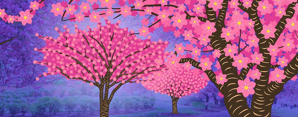 2025 Hanami Nights: Stroll Japanese Garden Event (Live Performances, Bar: Sake & Japanese Beer, Japanese Snacks, Bonsai..) 4 Days | Japanese-City.com