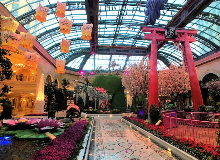 2018 Japanese Spring Display is Breathtaking & Brilliant - 65,000 Total Number of Flowers on Display - Bellagio, Las Vegas (Until June 2) 