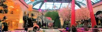 Japanese events festivals 2018 Japanese Spring Display is Breathtaking & Brilliant - 65,000 Total Number of Flowers on Display - Bellagio, Las Vegas (Until June 2) 