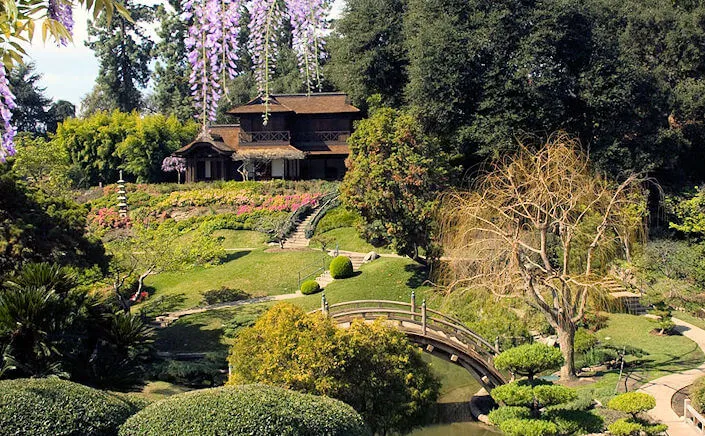 Japanese Garden at the Huntington (Japanese house, Teahouse, Bonsai Collection and Zen Court..)