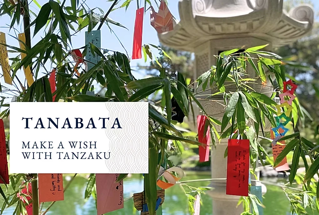 2025 Let's Go to Tanabata! Celebrate Tanabata also Known as Star Festival-A Cherished Tradition in Japan for Centuries (2 Days) | Japanese-City.com