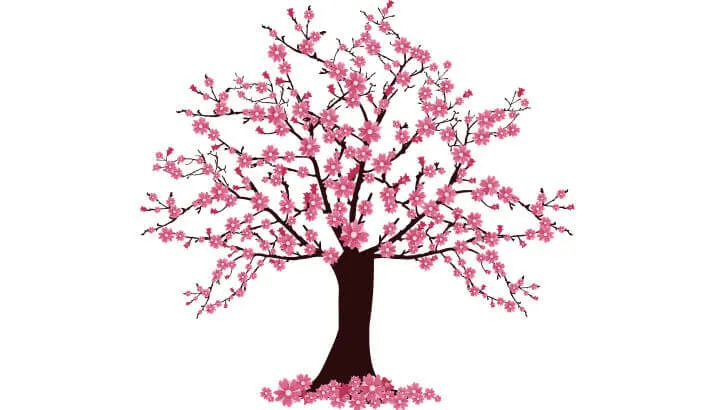 Cherry Blossoms | Japanese-City.com