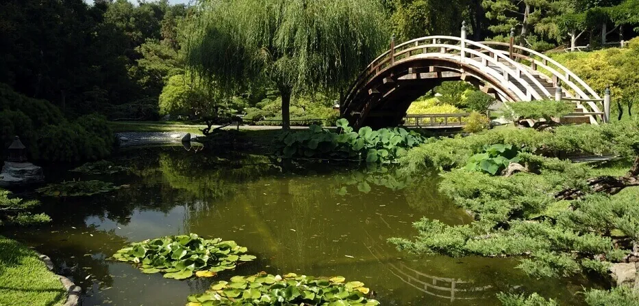 Japanese City Cultural Festivals & Events | Japanese-City.com
