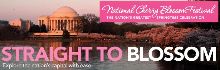 2024 Annual National Cherry Blossom Festival Event (March 20 - April 14, 2024) 