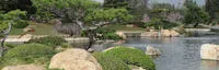 Japanese events venues location festivals Japanese Garden/Donald Tillman Water Reclamation