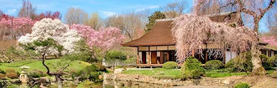 Japanese events venues location festivals Shofuso Japanese House and Garden