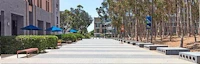 UCSD Campus Library Walk