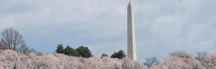 Washington Monument Grounds 