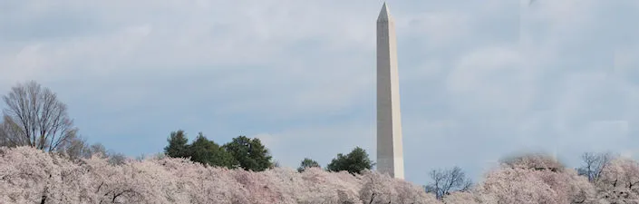 Washington Monument Grounds