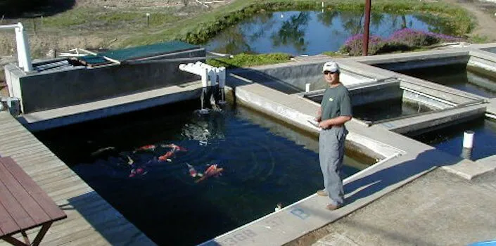 California Koi Farm | Japanese-City.com