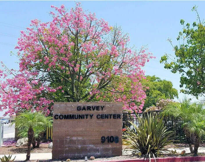 Rosemead Garvey Center | Japanese-City.com