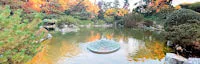 Japanese events festivals 2019 Walking Tour of the San Jose Japanese Friendship Garden