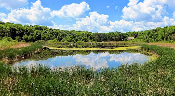 Minnesota Landscape Arboretum (Japanese Garden) | Japanese-City.com