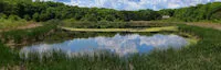 Japanese events venues location festivals Minnesota Landscape Arboretum (Japanese Garden)