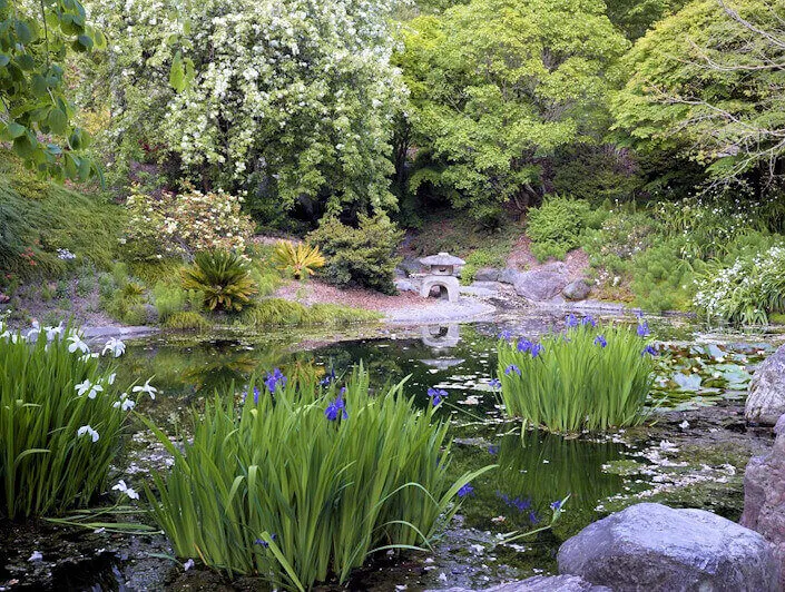 University of California - Berkeley Botanical Gardens | Japanese-City.com