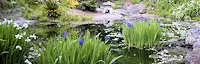 University of California - Berkeley Botanical Gardens 