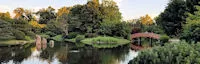 Missouri Botanical Garden - Japanese Garden 