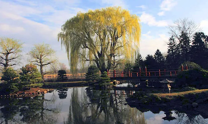 Normandale Japanese Garden | Japanese-City.com