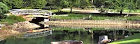 Memphis Botanic Garden - Japanese Garden 