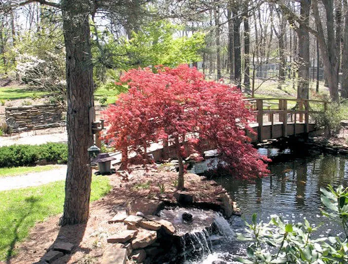 Satsuki Garden, Lendonwood Gardens - Grand Lake | Japanese-City.com