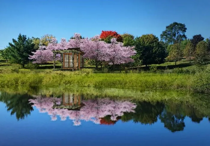 Japanese Garden & Pavilion - Michigan State University (MSU) Tollgate Education Conference Center | Japanese-City.com